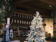 -一棵树·意大利西餐厅One Tree(新城店)