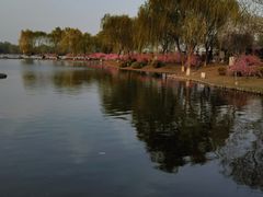 -石家庄市植物园