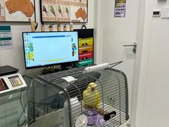 -立德异宠动物医院.兔鸟爬.内窥镜(天河店)