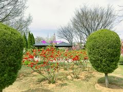 -黑石礁公园