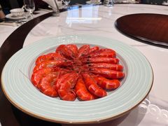 -稻香酒家·34年老字号·港式粤菜(侨光店)