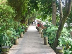 -成都市活水公园