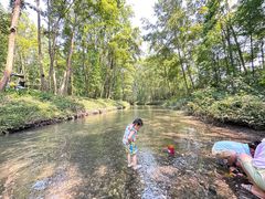 -桤木河湿地公园