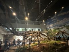 -自贡恐龙博物馆