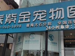 -瑞派紫金宠物医院24小时·骨科·中兽医·重症转诊中心(番禺大石院)