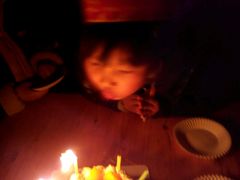 -林记开心动物奶油生日蛋糕(丽水豪城店)