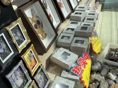 -安徽省地质博物馆