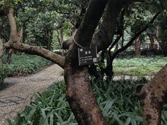 -南宁南湖公园