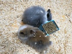 -龟与熊猫宠物公园(南坪店)