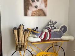 -Husky Go! 哈士奇体验馆·宠物咖啡厅狗咖