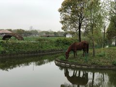 -上海杨姆庄园