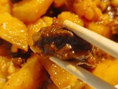 -十二毡房蒙餐·蒙古包