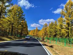 -塞罕坝国家级自然保护区