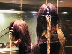 -美国自然历史博物馆