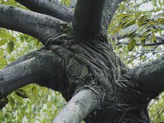 -成都市活水公园