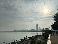 -深圳湾公园(南山区)