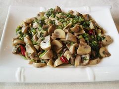 雪菜炒蘑菇-旺涛人家(三水湾店)