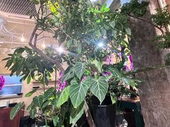 -花二家·生活馆(六运小区店)