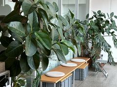 -DEEP COFFEE(瑞光烘焙工厂店)