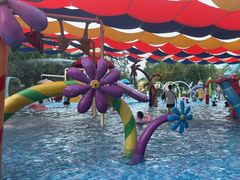 -苏州乐园森林水世界