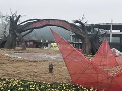 -绵阳盛世樱花悠乐谷