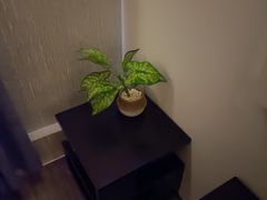 -禧瑞 ·丝浴主题·水疗·spa(中山公园店)