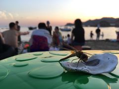 -石槽海滨浴场