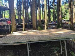 -武陵山森林公园