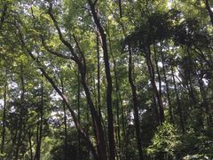 -宝晶宫旅游景区