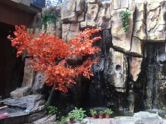 -嘉悦汗蒸时代(曙光路店)