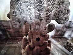 -莲池书院博物馆