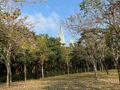 -Peet's Coffee皮爷咖啡(后海汇店)