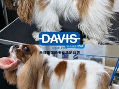 -汪小喵宠物·戴维斯乐芳希施宠馨宝皮毛调理洗护店