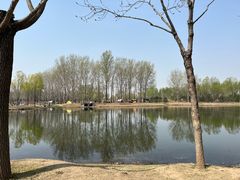 -东郊湿地公园