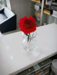 -Bollins波林丝•专研护发中心