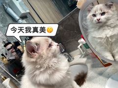 -水悦汇