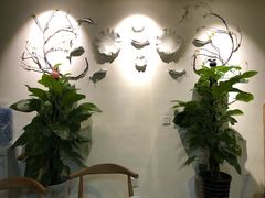 -安贞汤泉(安贞桥店)