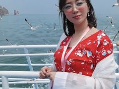 -长岛万鸟岛