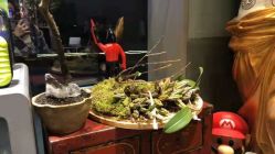 -周忆刺青原创设计定制