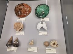 -天津古林古海岸遗迹博物馆