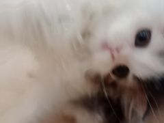 -金光华广场