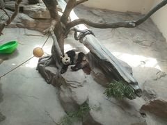 -宁波野生动物园