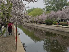 -元大都城垣遗址公园