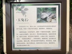 -广州白江湖森林公园