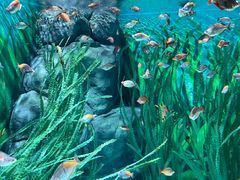 -上海海洋水族馆