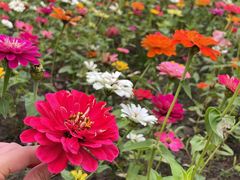 -狼山风景名胜区