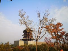 -东方削面(操场城街店)