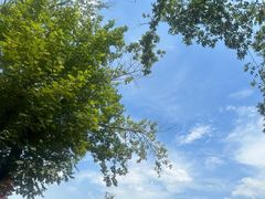 -杭州双溪漂流景区