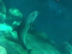 罗源湾海洋世界-福州罗源湾海洋世界旅游区