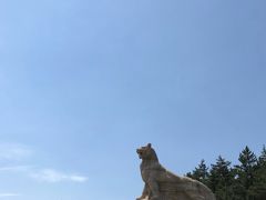 -帽儿山国家森林公园